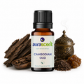 Cambodian Oud