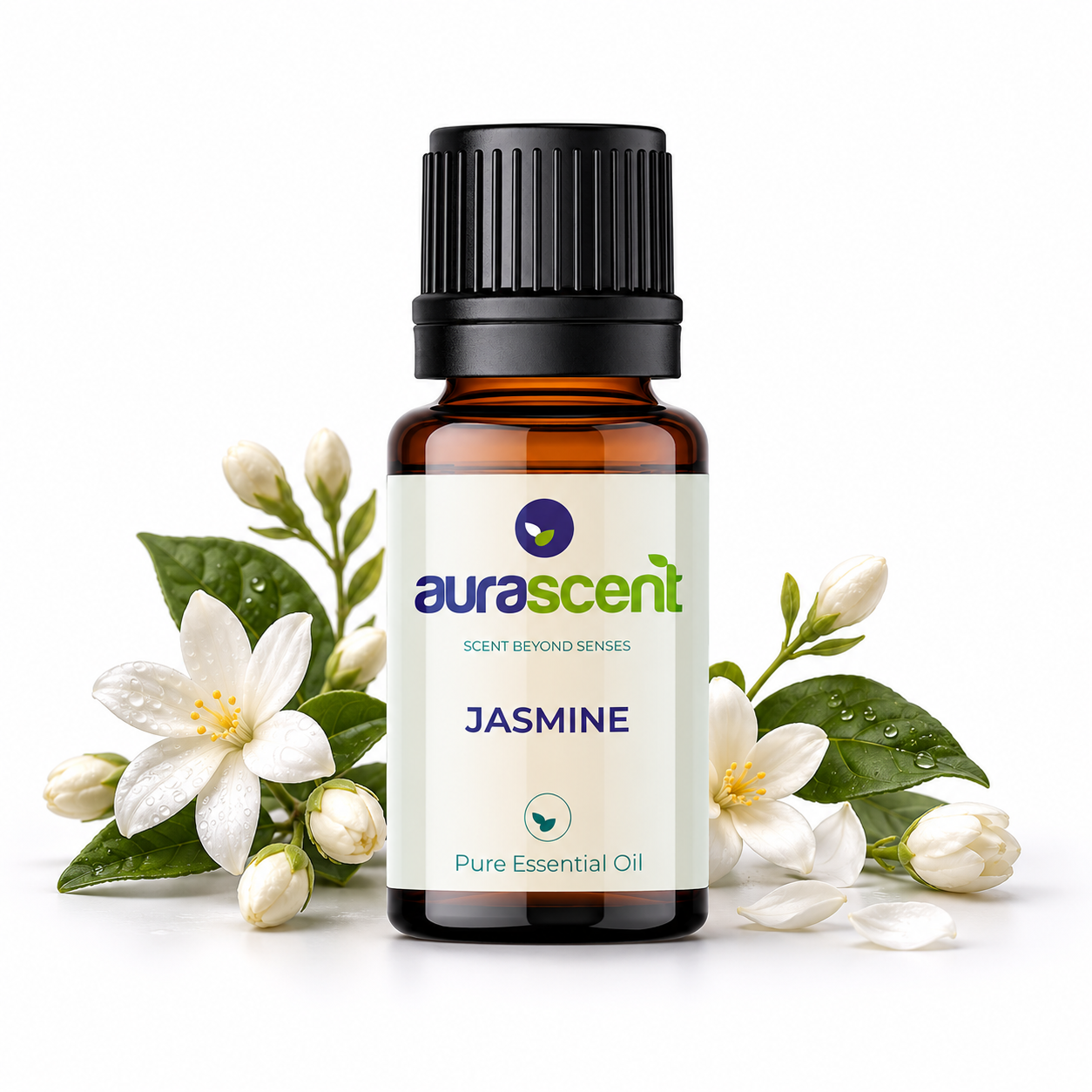 Jasmine