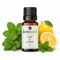 Mint & Lemon