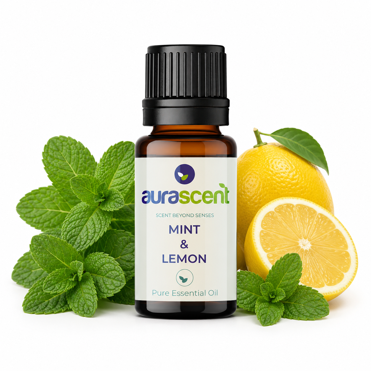 Mint & Lemon