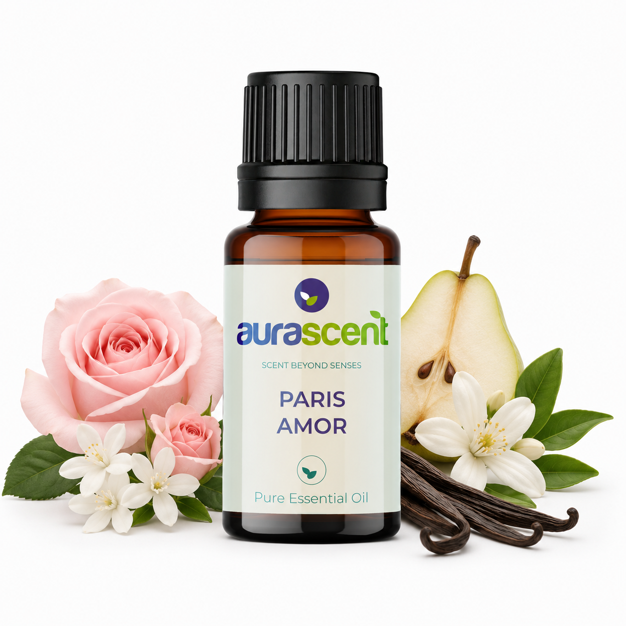 Paris Amor