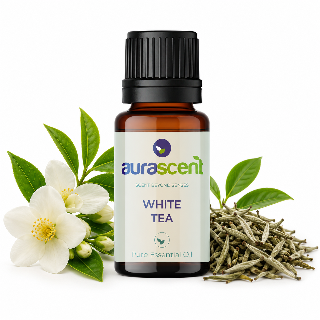 White Tea